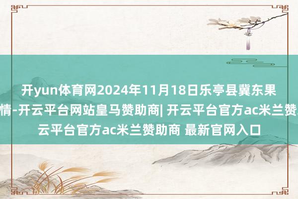 开yun体育网2024年11月18日乐亭县冀东果菜批发市集价钱行情-开云平台网站皇马赞助商| 开云平台官方ac米兰赞助商 最新官网入口